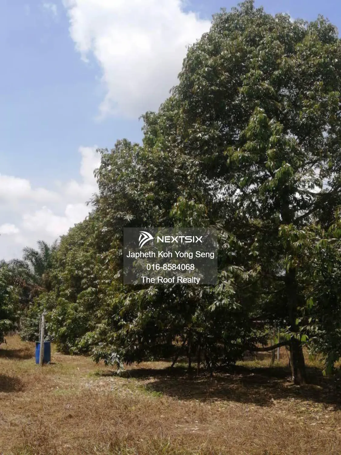 Agricultural Land For Sale in Kulai Johor