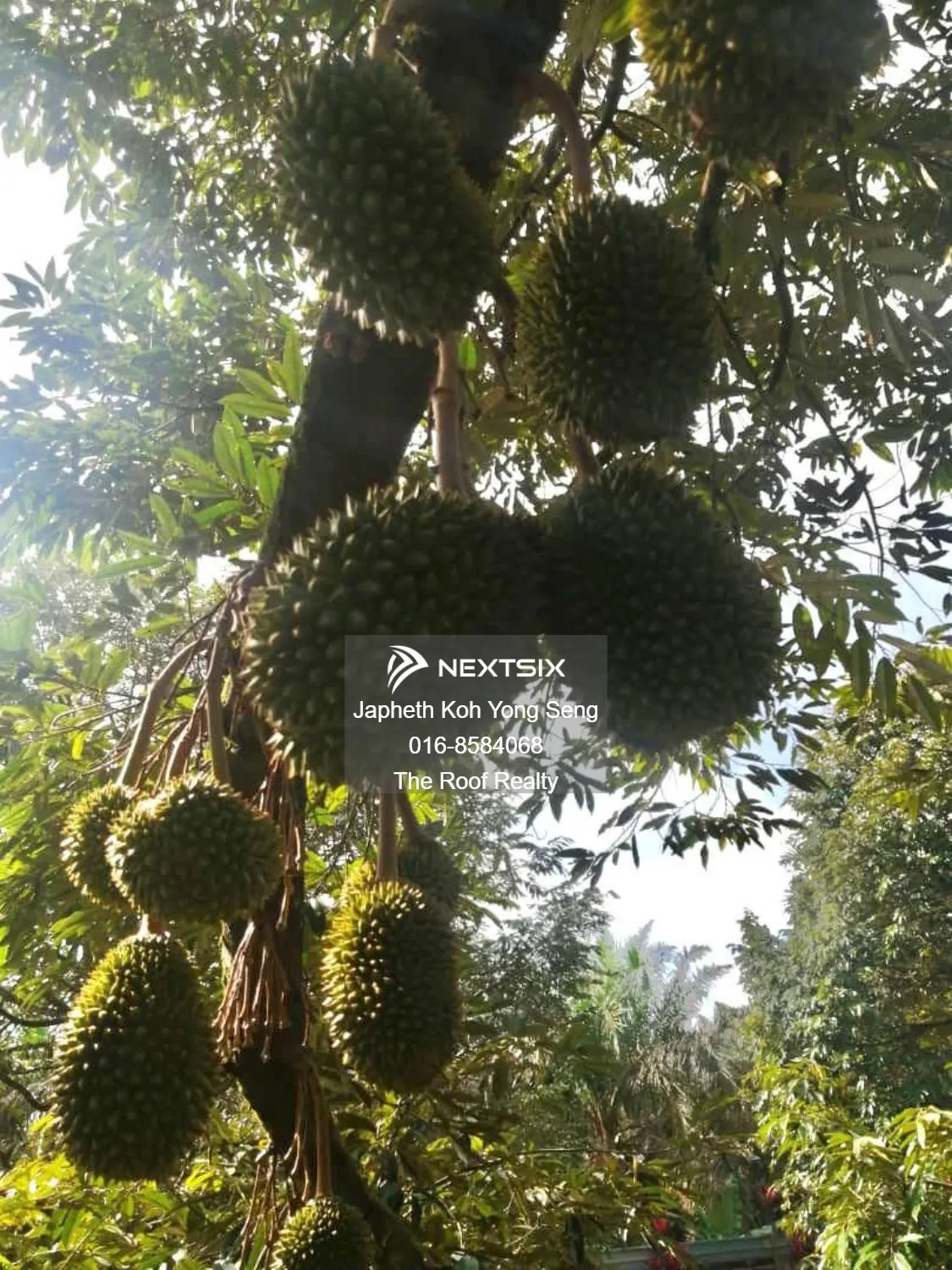 Agricultural Land For Sale in Kulai Johor - Image 11