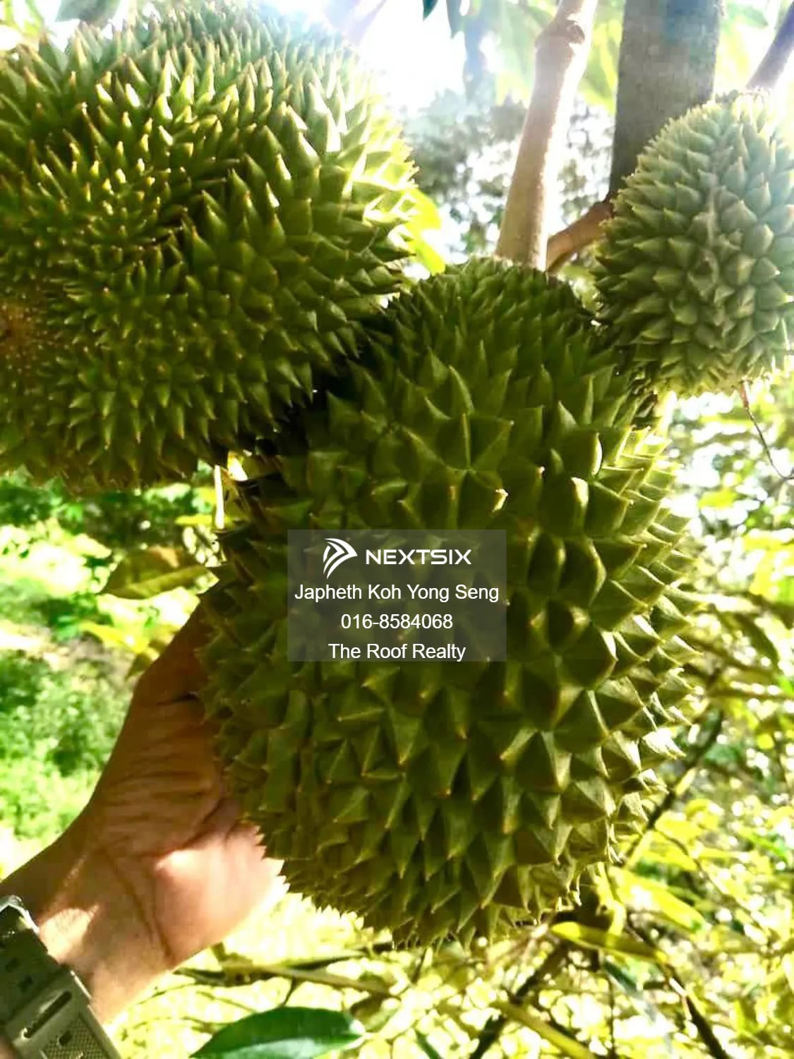 Agricultural Land For Sale in Kulai Johor - Image 13