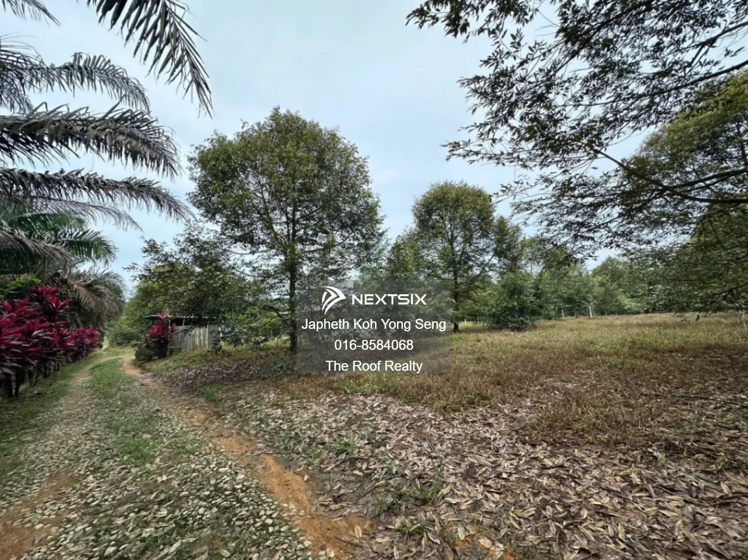 Agricultural Land For Sale in Kulai Johor - Image 14