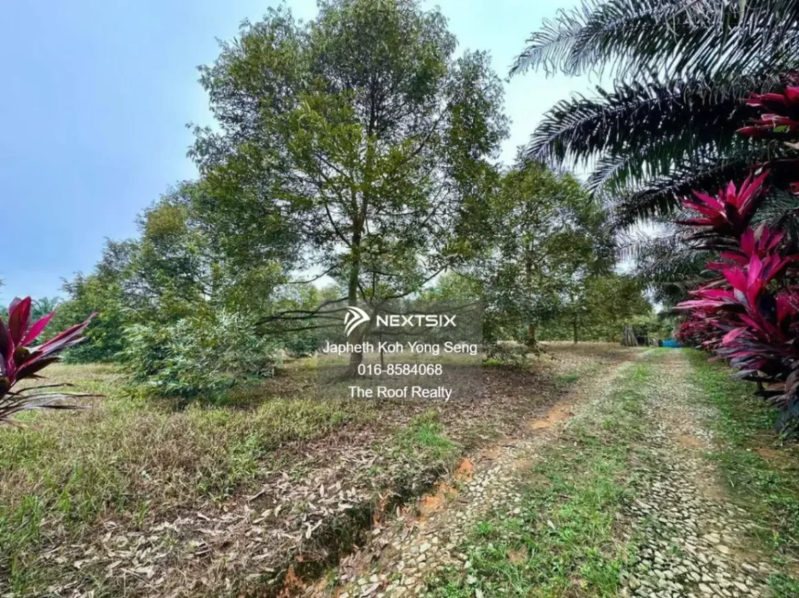 Agricultural Land For Sale in Kulai Johor - Image 15