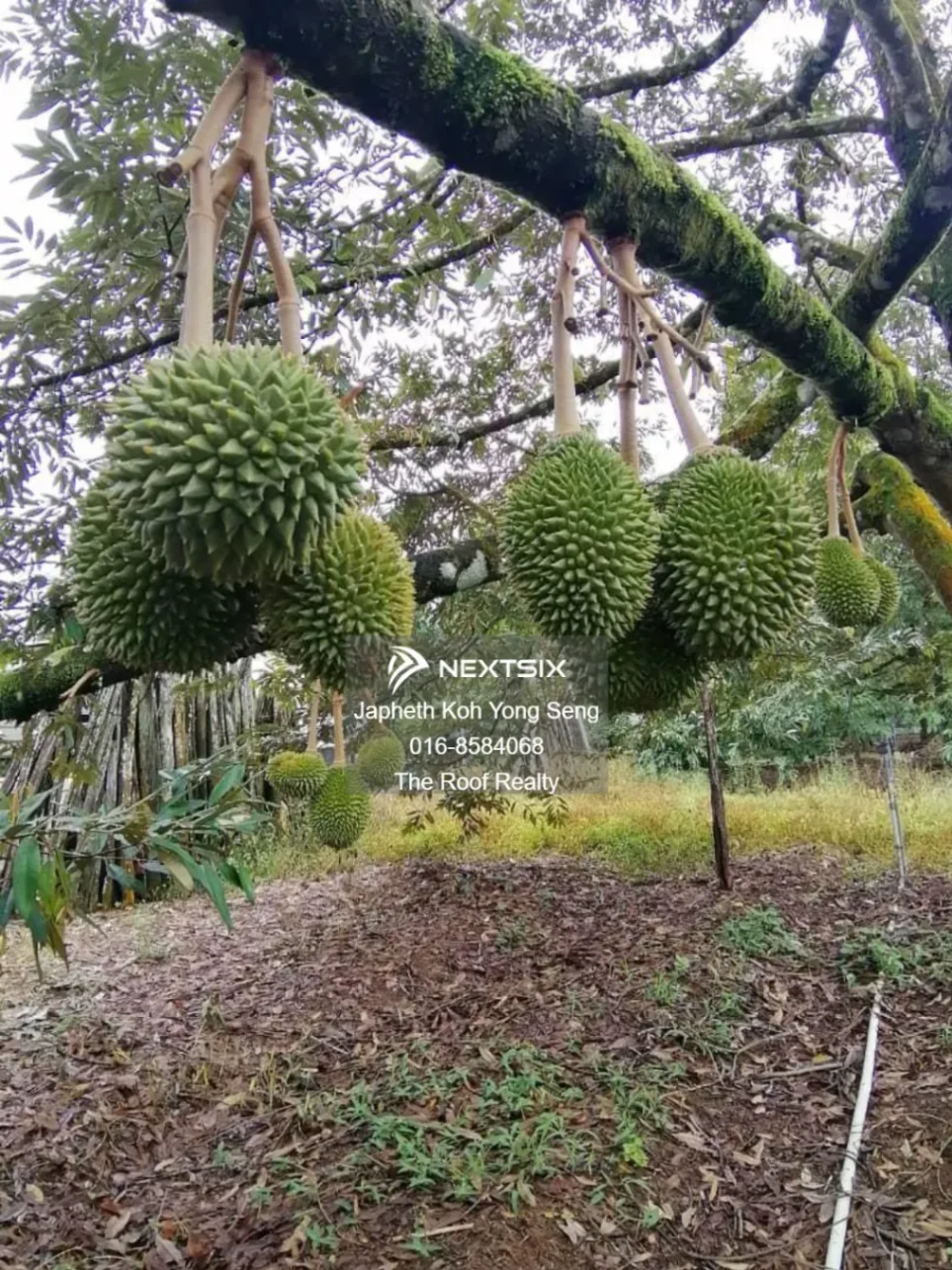 Agricultural Land For Sale in Kulai Johor - Image 5