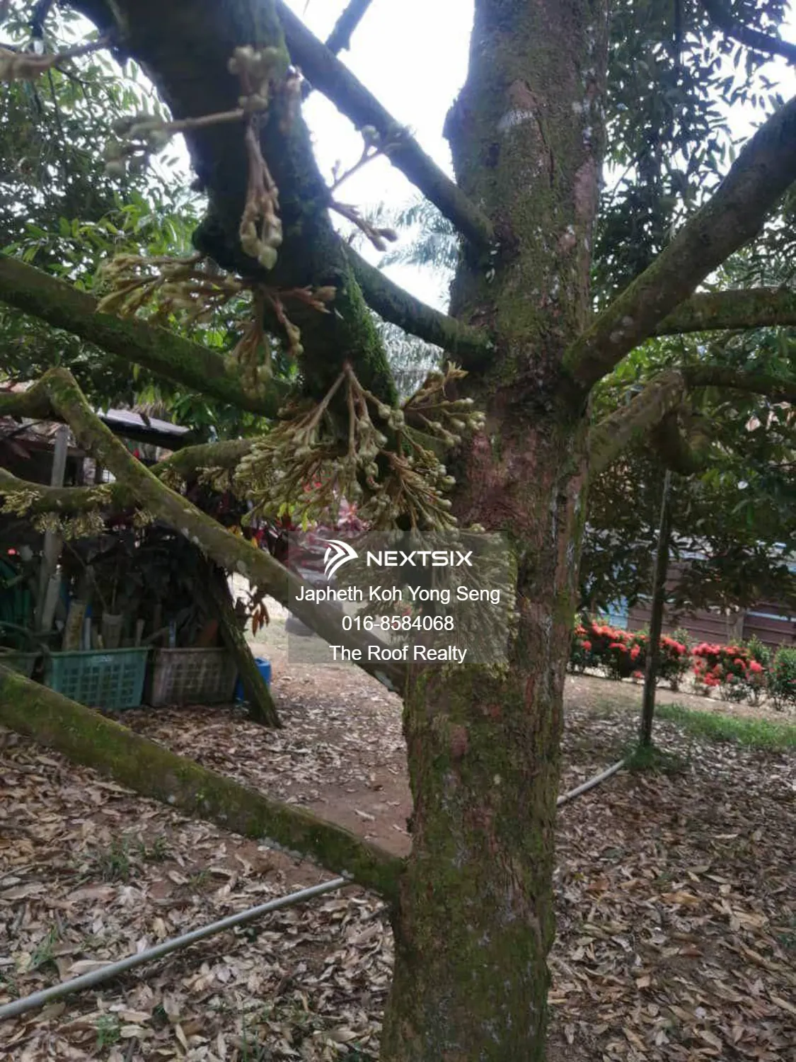 Agricultural Land For Sale in Kulai Johor - Image 7