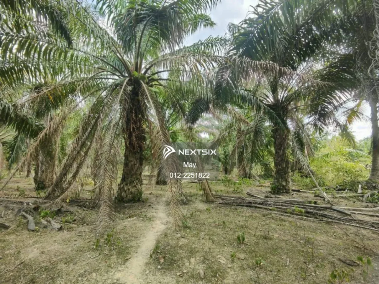 Agricultural Land For Sale in Jasin Melaka - Image 5