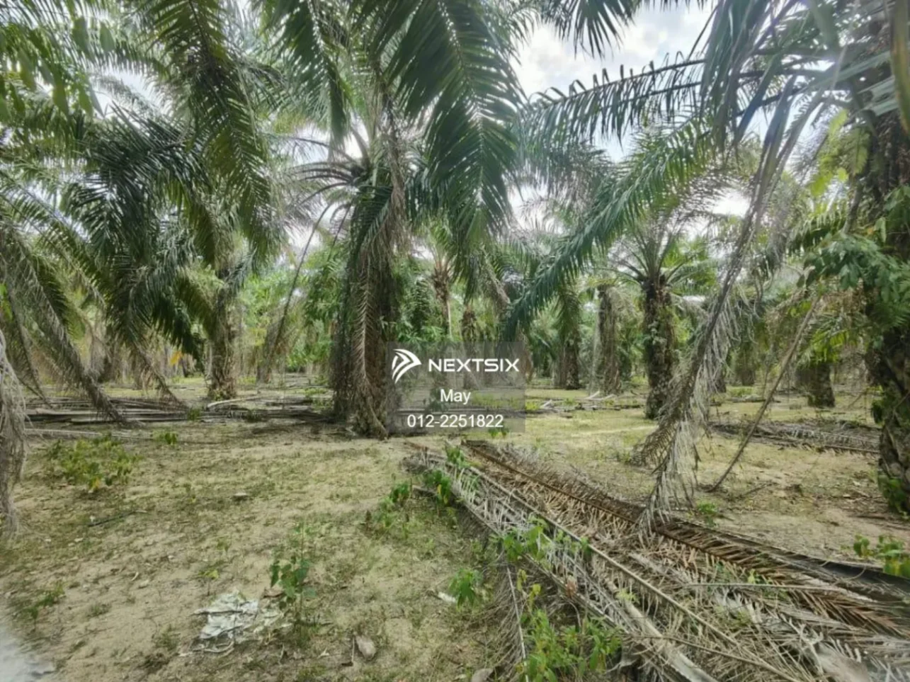 Agricultural Land For Sale in Jasin Melaka - Image 6