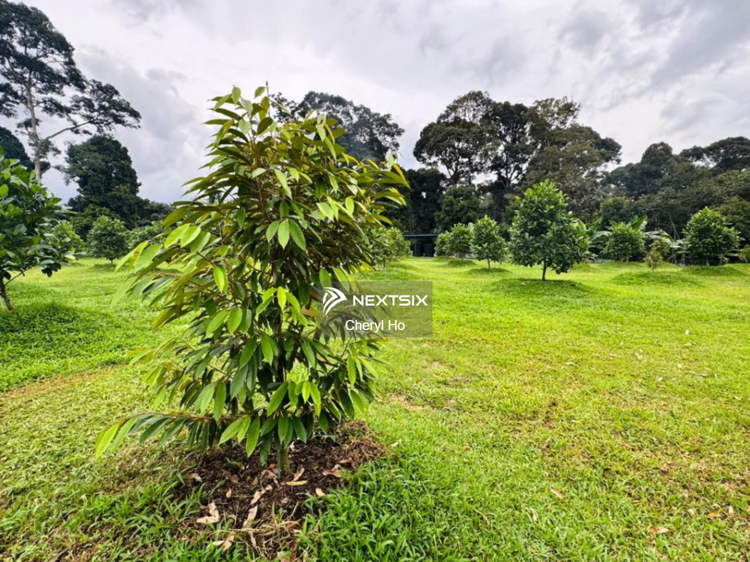 Agricultural Land For Sale in Hulu Selangor Selangor - Image 10