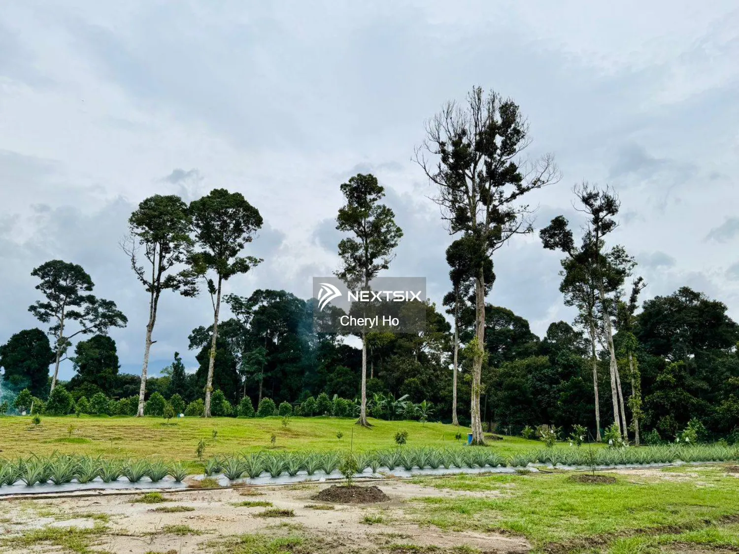 Agricultural Land For Sale in Hulu Selangor Selangor - Image 8