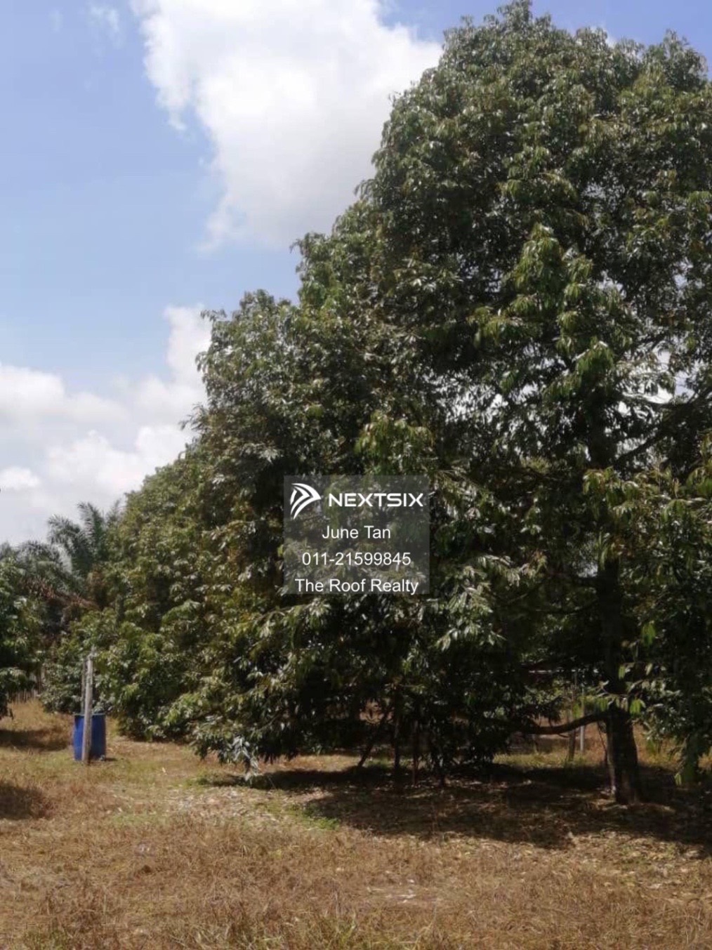 Agricultural Land For Sale in Kulai Johor - Image 12