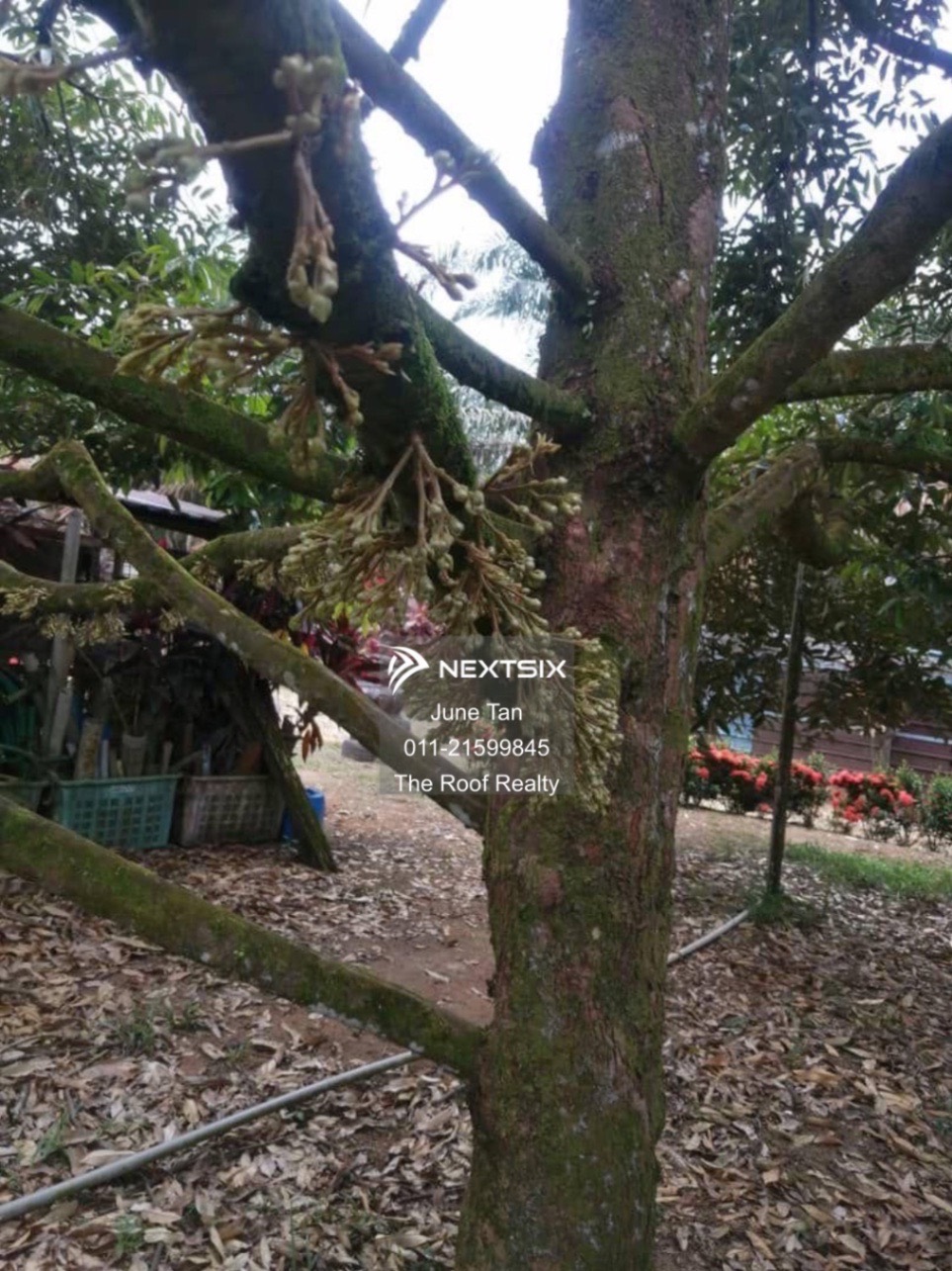 Agricultural Land For Sale in Kulai Johor - Image 13