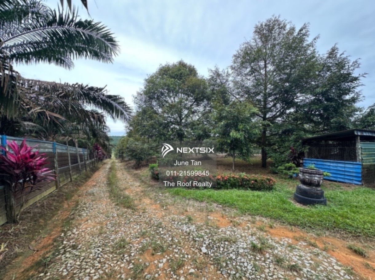 Agricultural Land For Sale in Kulai Johor - Image 14