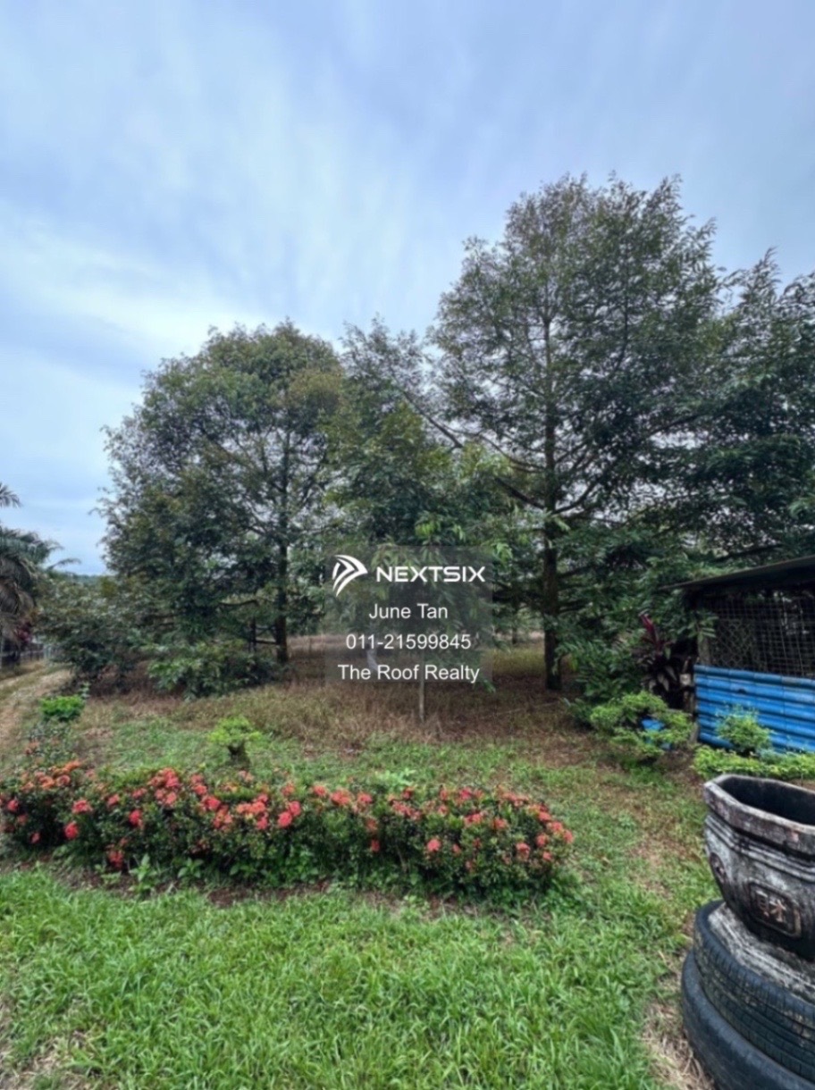 Agricultural Land For Sale in Kulai Johor - Image 2