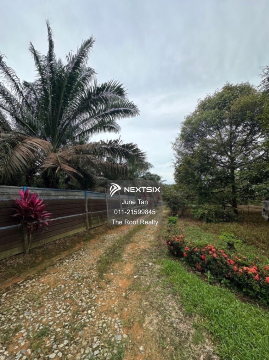 Agricultural Land For Sale in Kulai Johor - Image 4