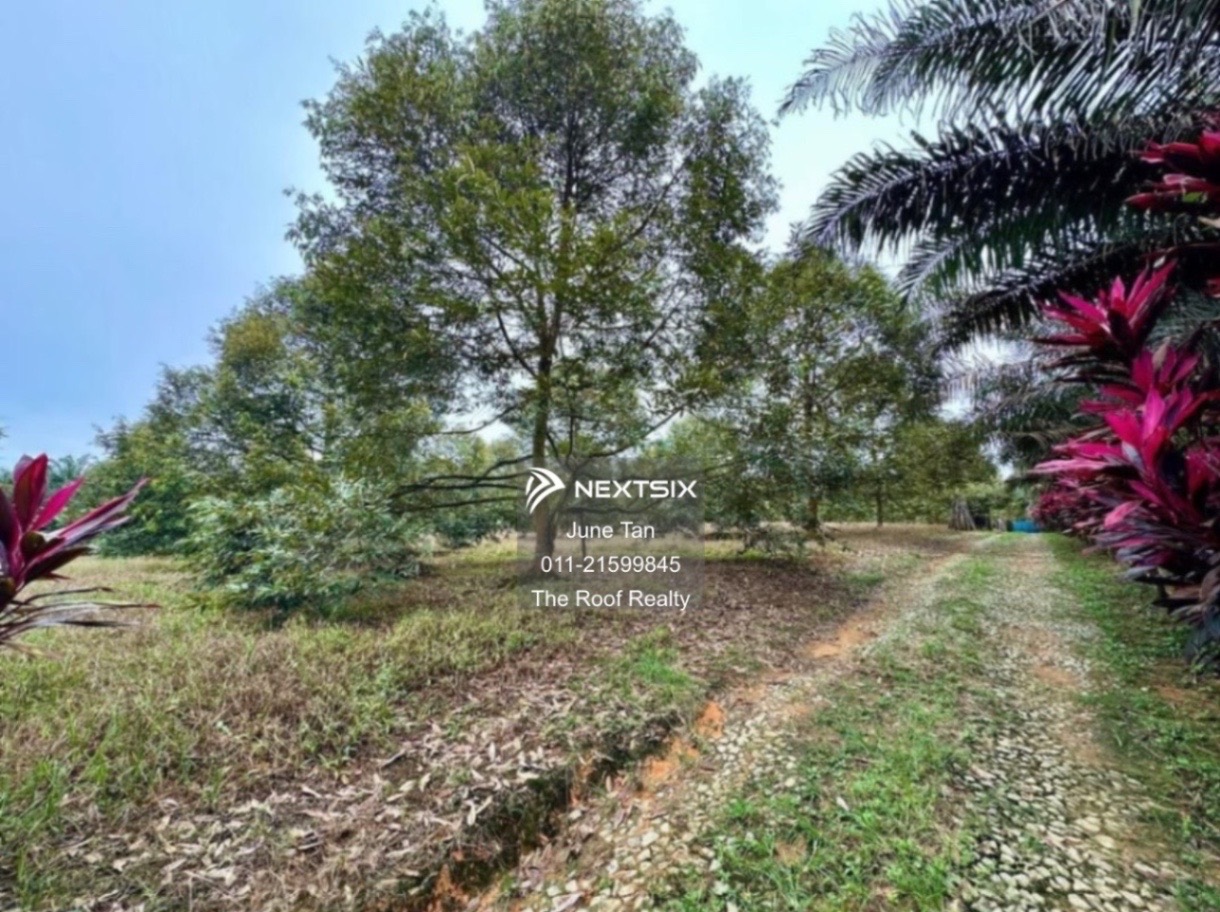 Agricultural Land For Sale in Kulai Johor - Image 5