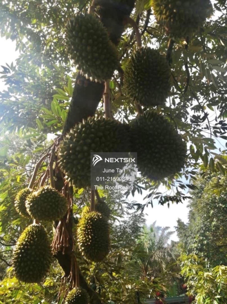 Agricultural Land For Sale in Kulai Johor - Image 7