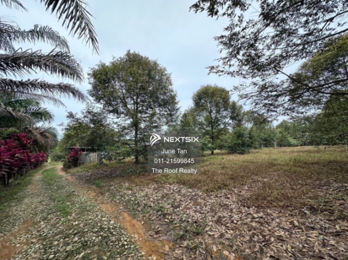Agricultural Land For Sale in Kulai Johor - Image 8