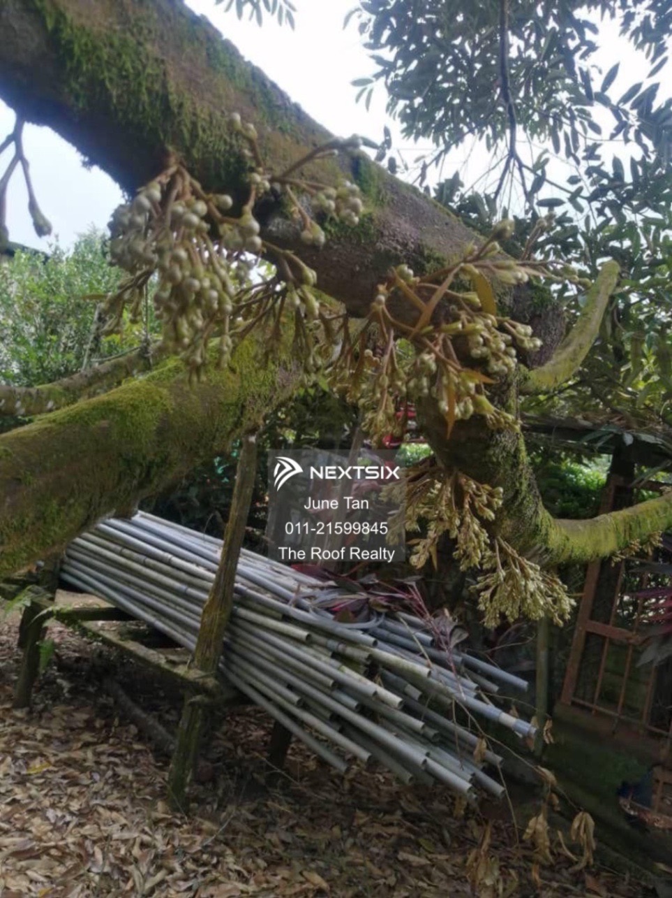 Agricultural Land For Sale in Kulai Johor - Image 9