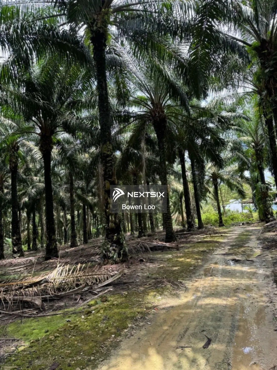 Agricultural Land For Sale in Gelang Patah Johor