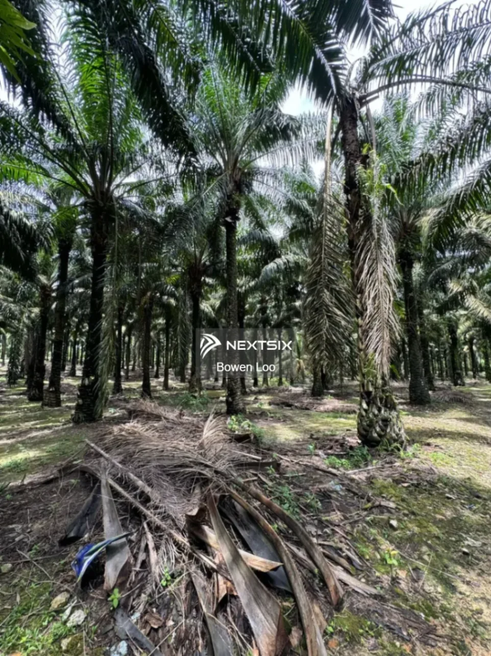 Agricultural Land For Sale in Gelang Patah Johor - Image 5