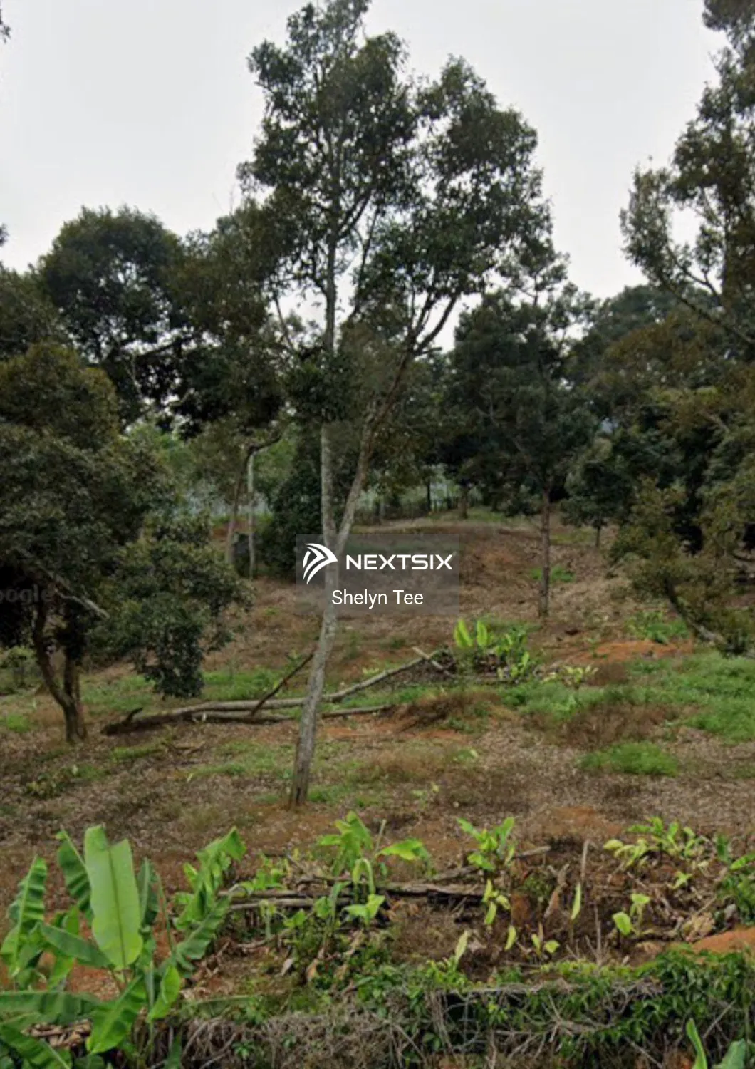 Agricultural Land For Sale in Gemencheh Negeri Sembilan