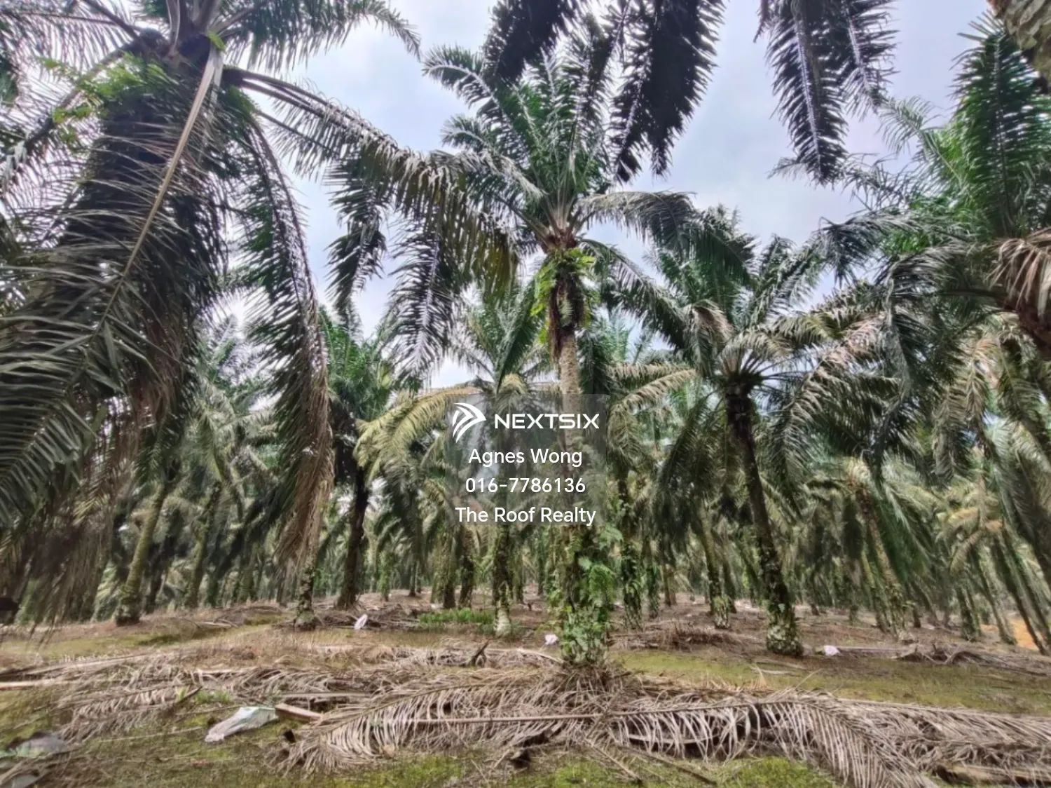 Agricultural Land For Sale in Kota Tinggi Johor