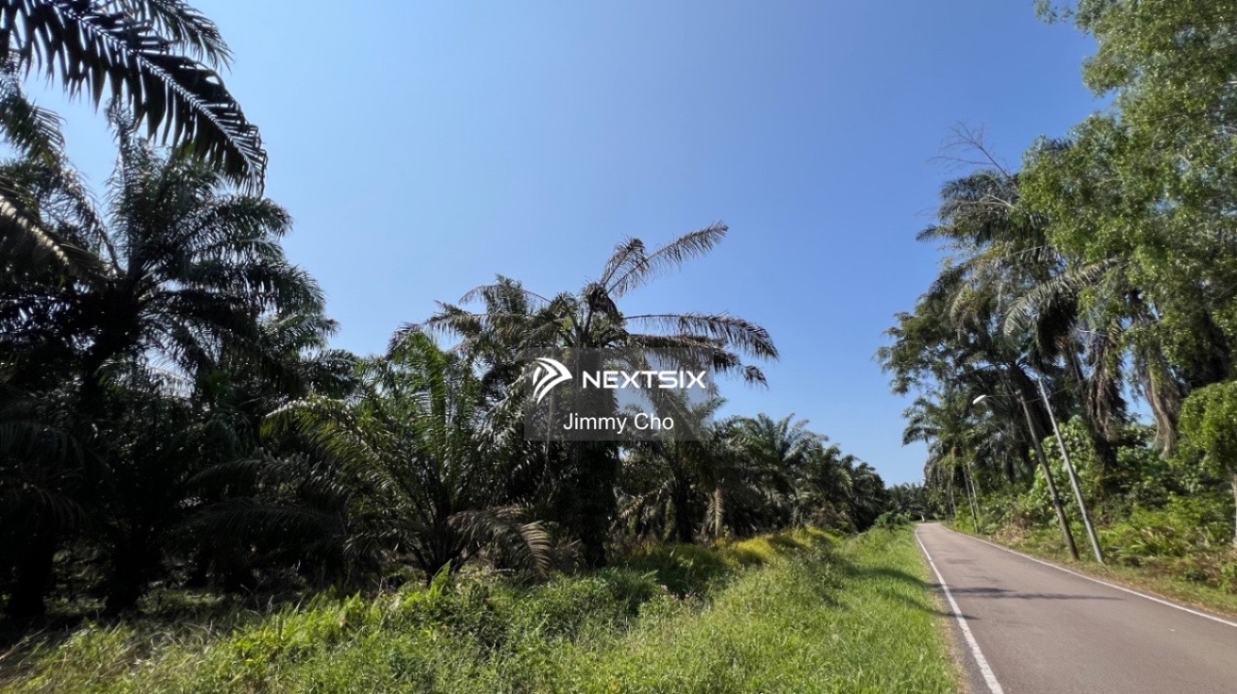 Agricultural Land For Sale in Pekan Nanas Johor