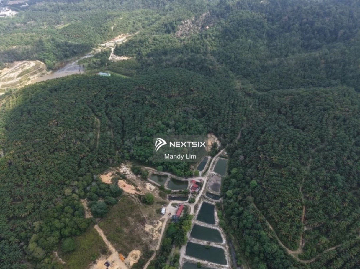 Agricultural Land For Sale in Kulim Kedah