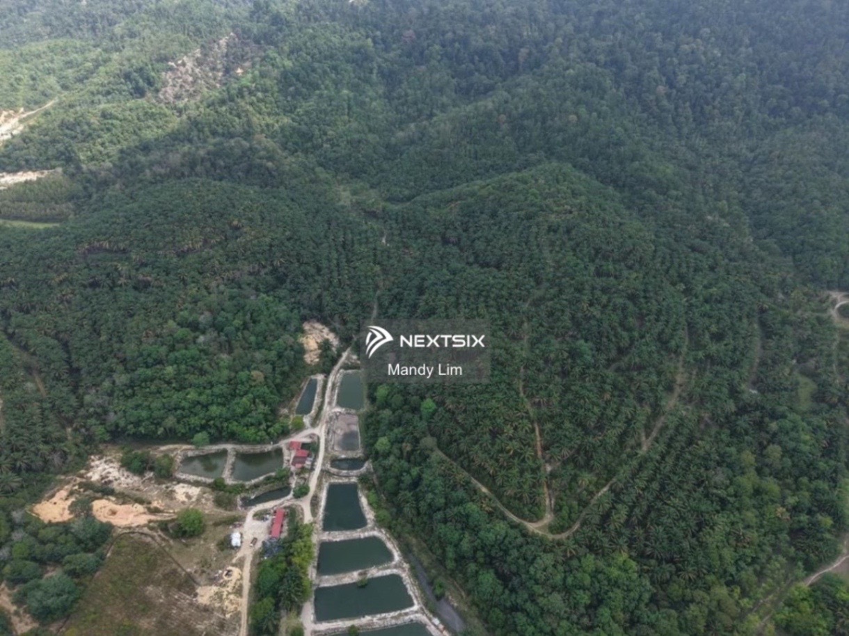 Agricultural Land For Sale in Kulim Kedah - Image 5