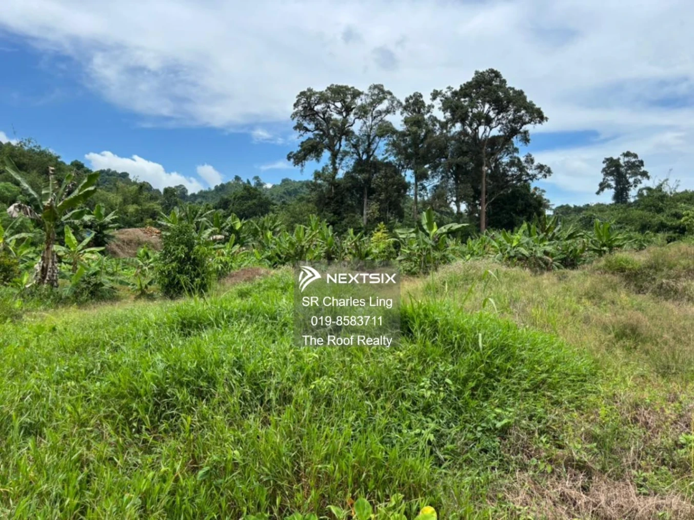 Agricultural Land For Sale in Kuching Sarawak - Image 5