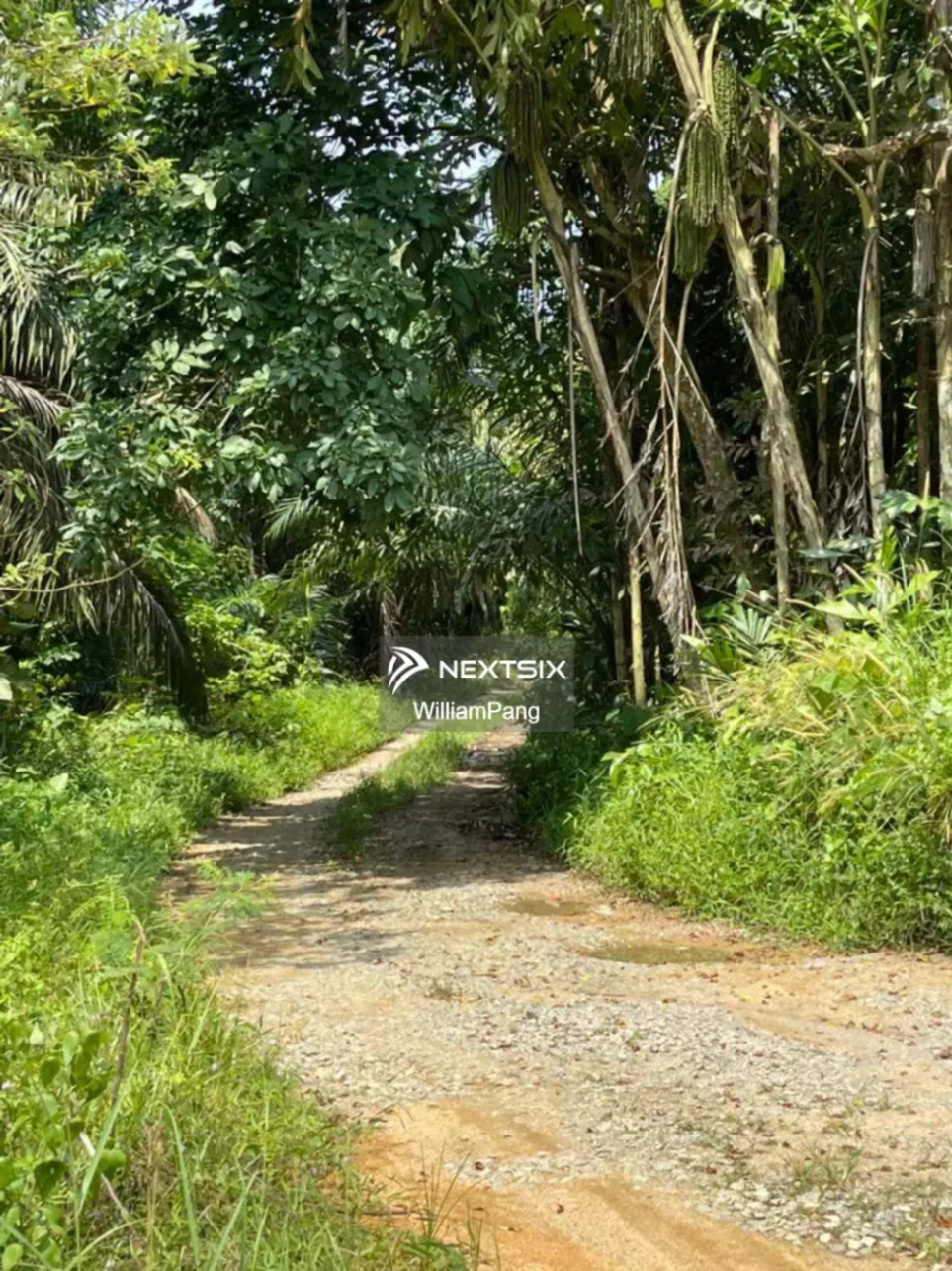 Agricultural Land For Sale in Ulu Tiram Johor