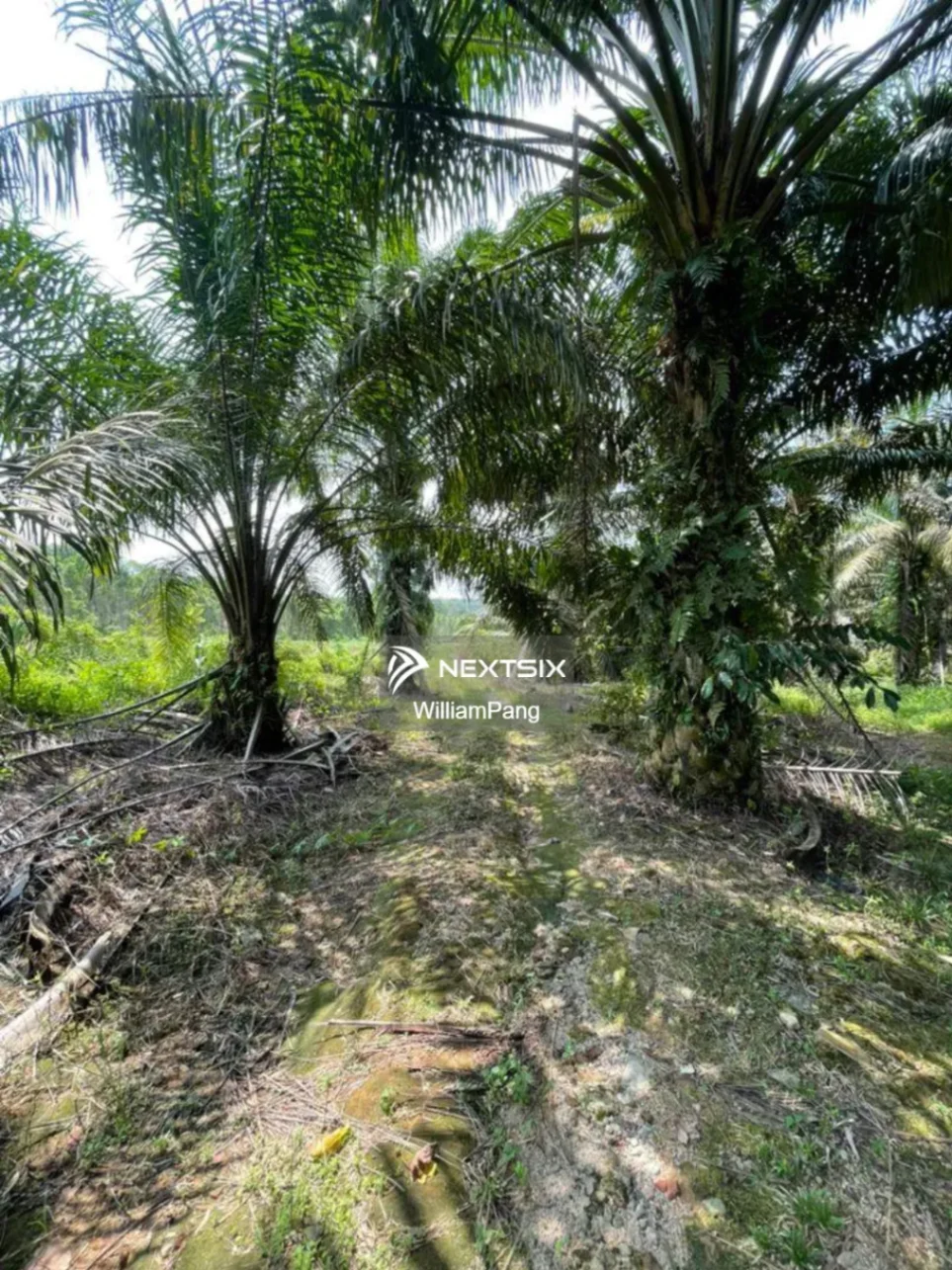 Agricultural Land For Sale in Ulu Tiram Johor - Image 3