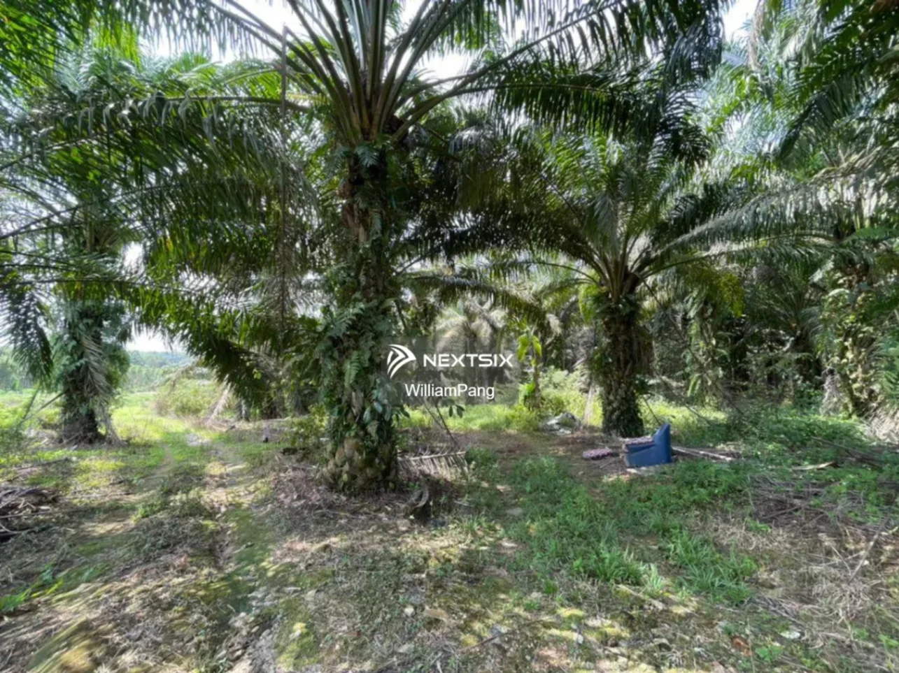 Agricultural Land For Sale in Ulu Tiram Johor - Image 4