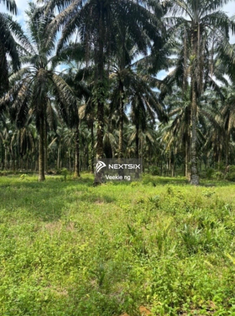Agricultural Land For Sale in Senai Johor
