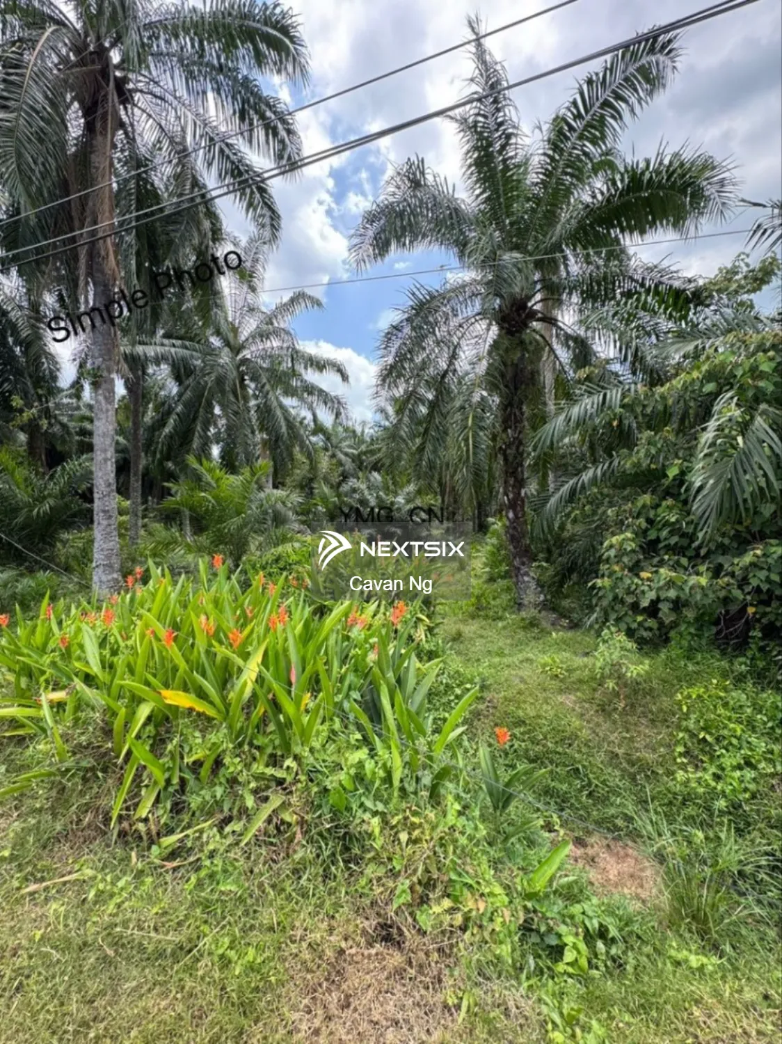 Agricultural Land For Sale in Klang Selangor - Image 3
