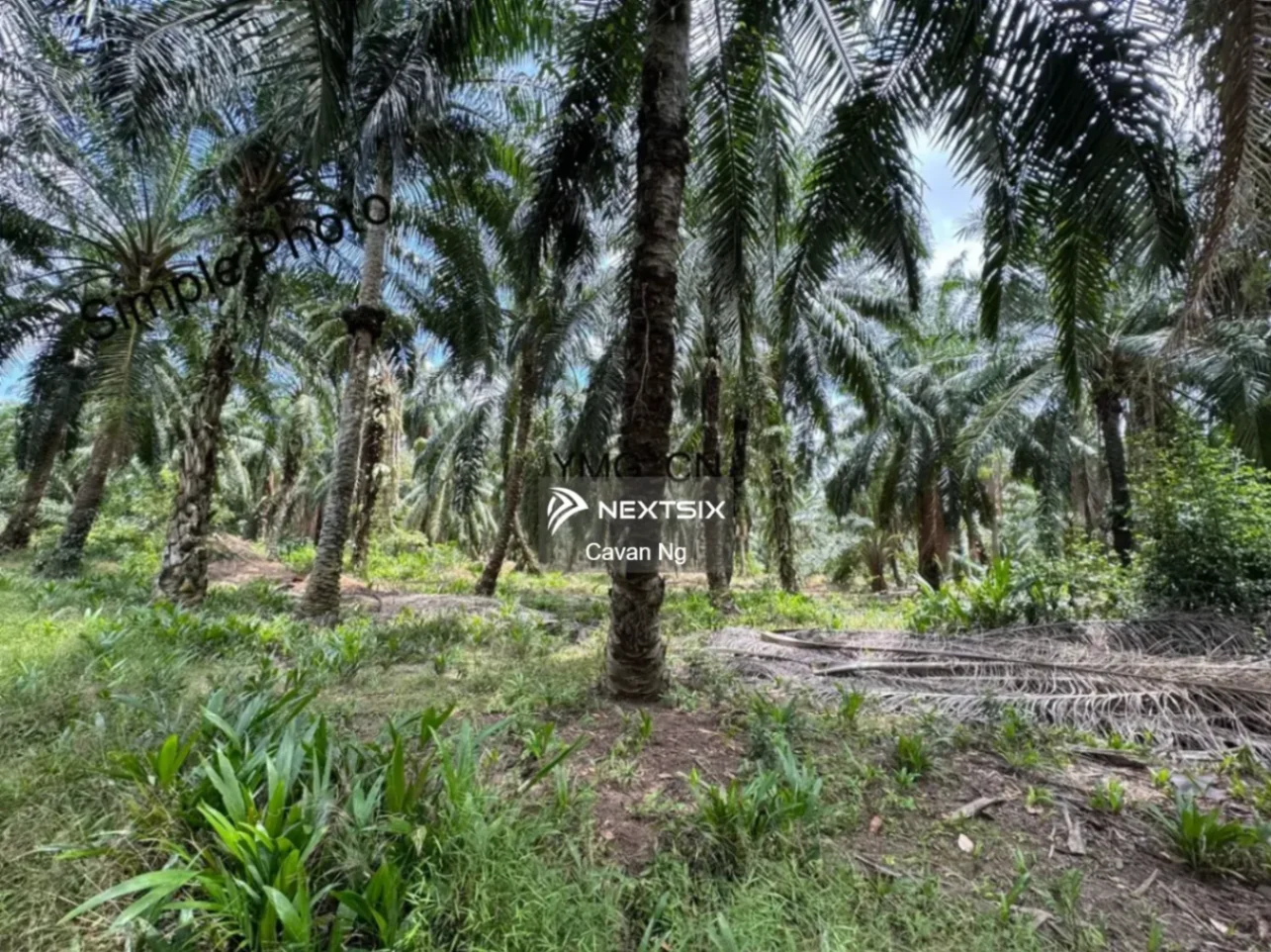 Agricultural Land For Sale in Klang Selangor - Image 4