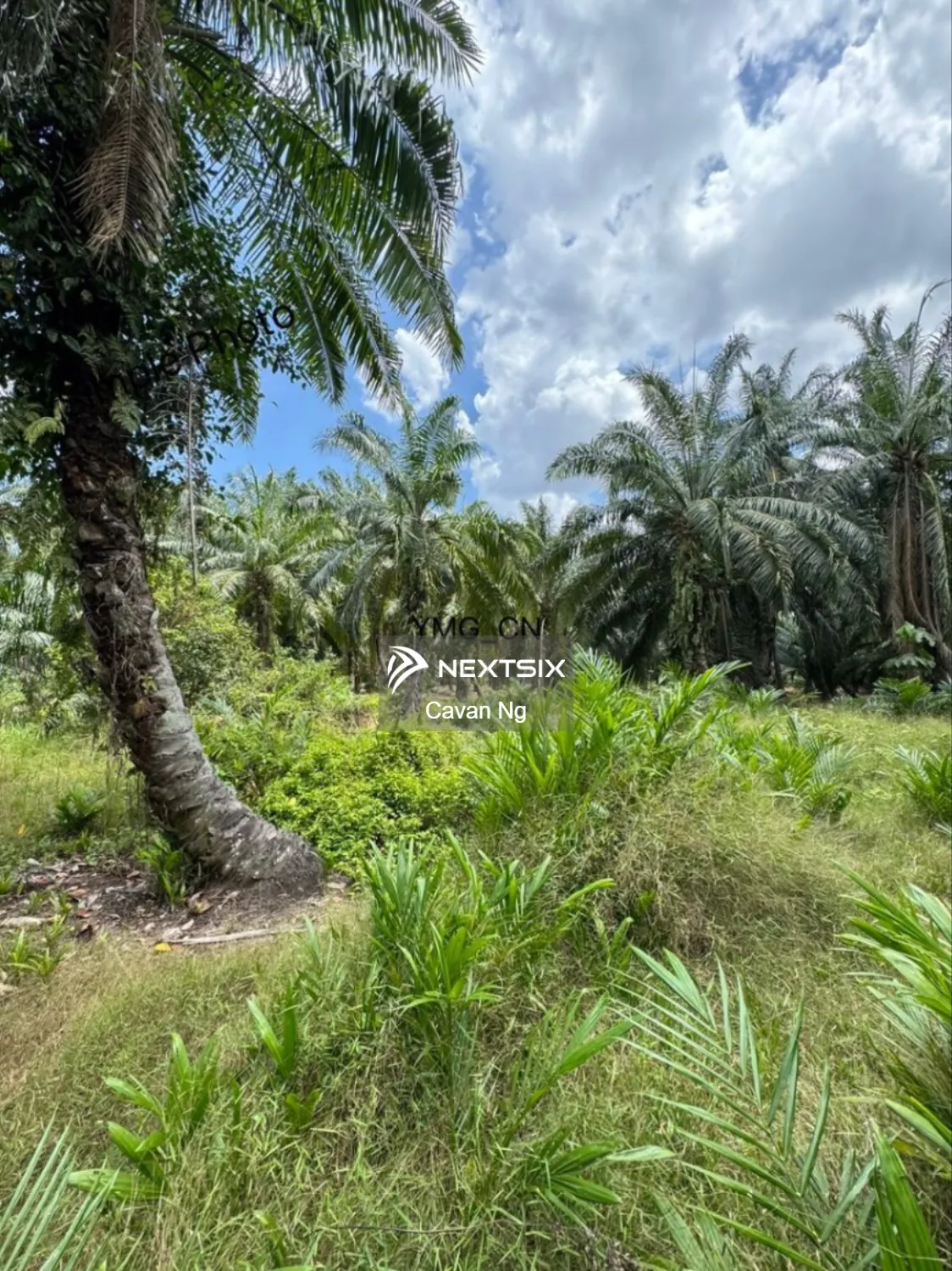Agricultural Land For Sale in Klang Selangor - Image 5