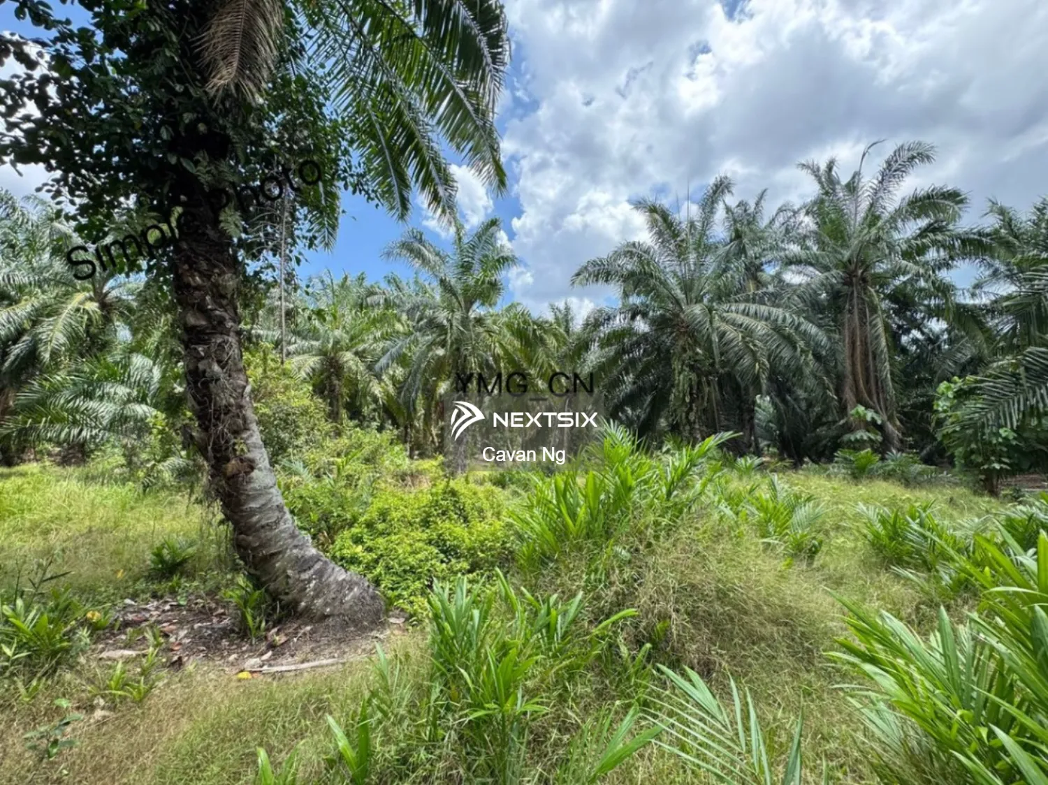 Agricultural Land For Sale in Klang Selangor - Image 6