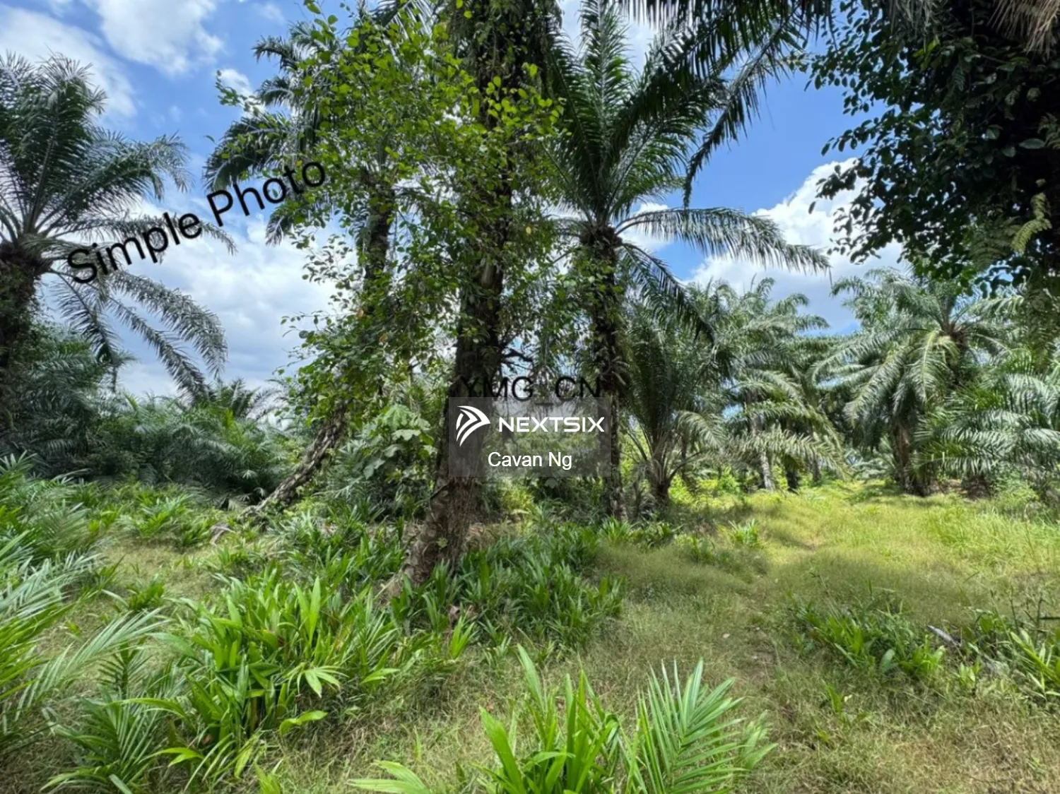 Agricultural Land For Sale in Klang Selangor - Image 7