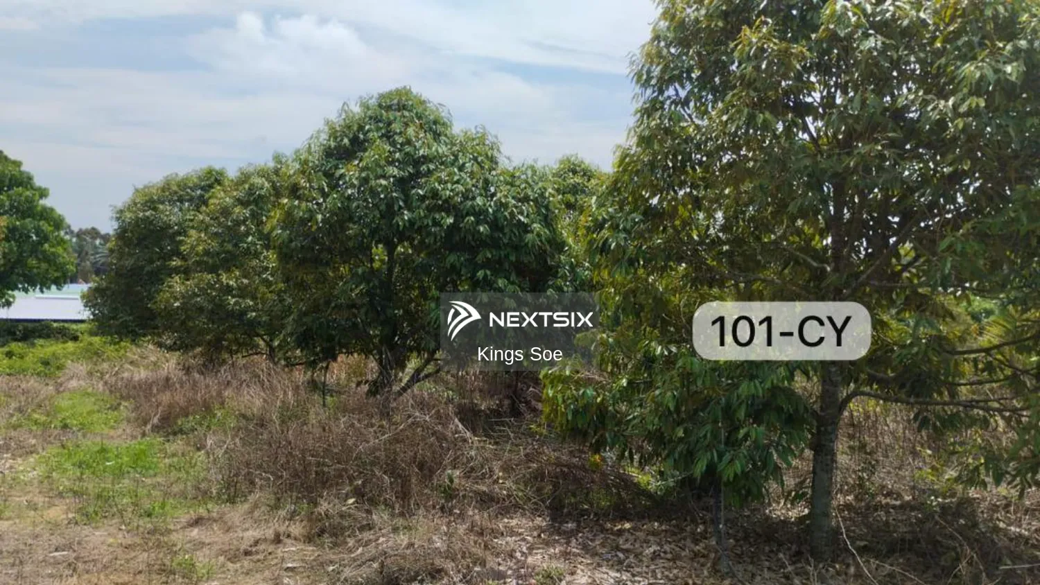 Agricultural Land For Sale in Bentong Pahang - Image 2