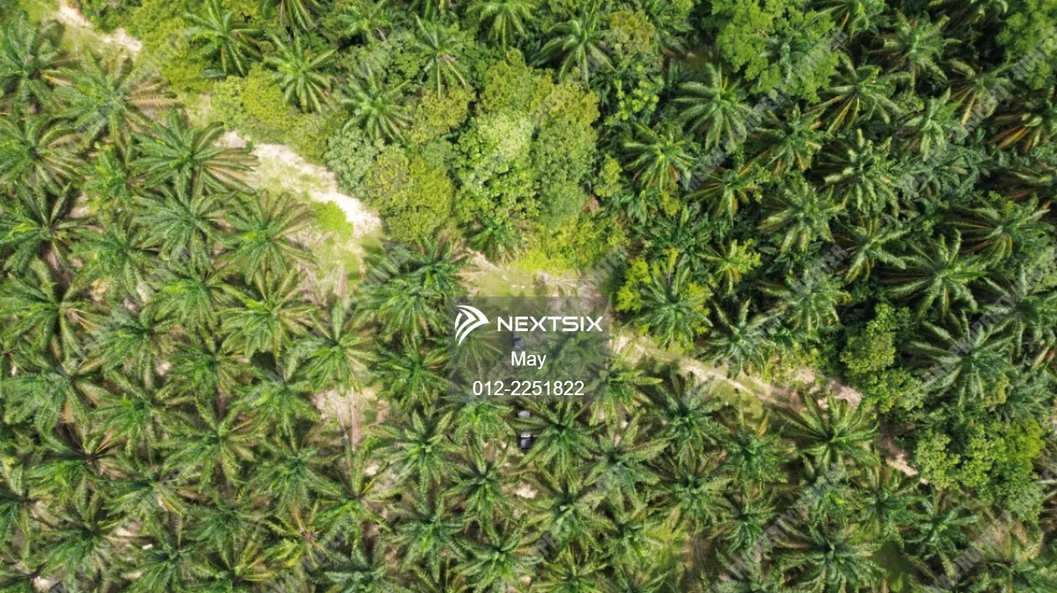 Agricultural Land For Sale in Jasin Melaka - Image 4