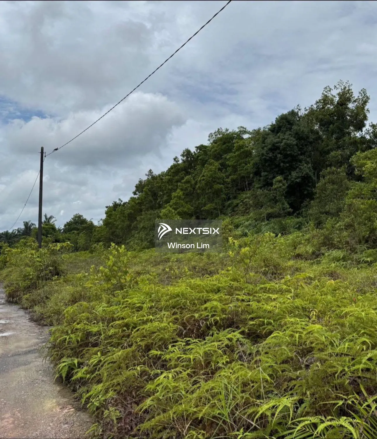 Agricultural Land For Sale in Pontian Johor - Image 2