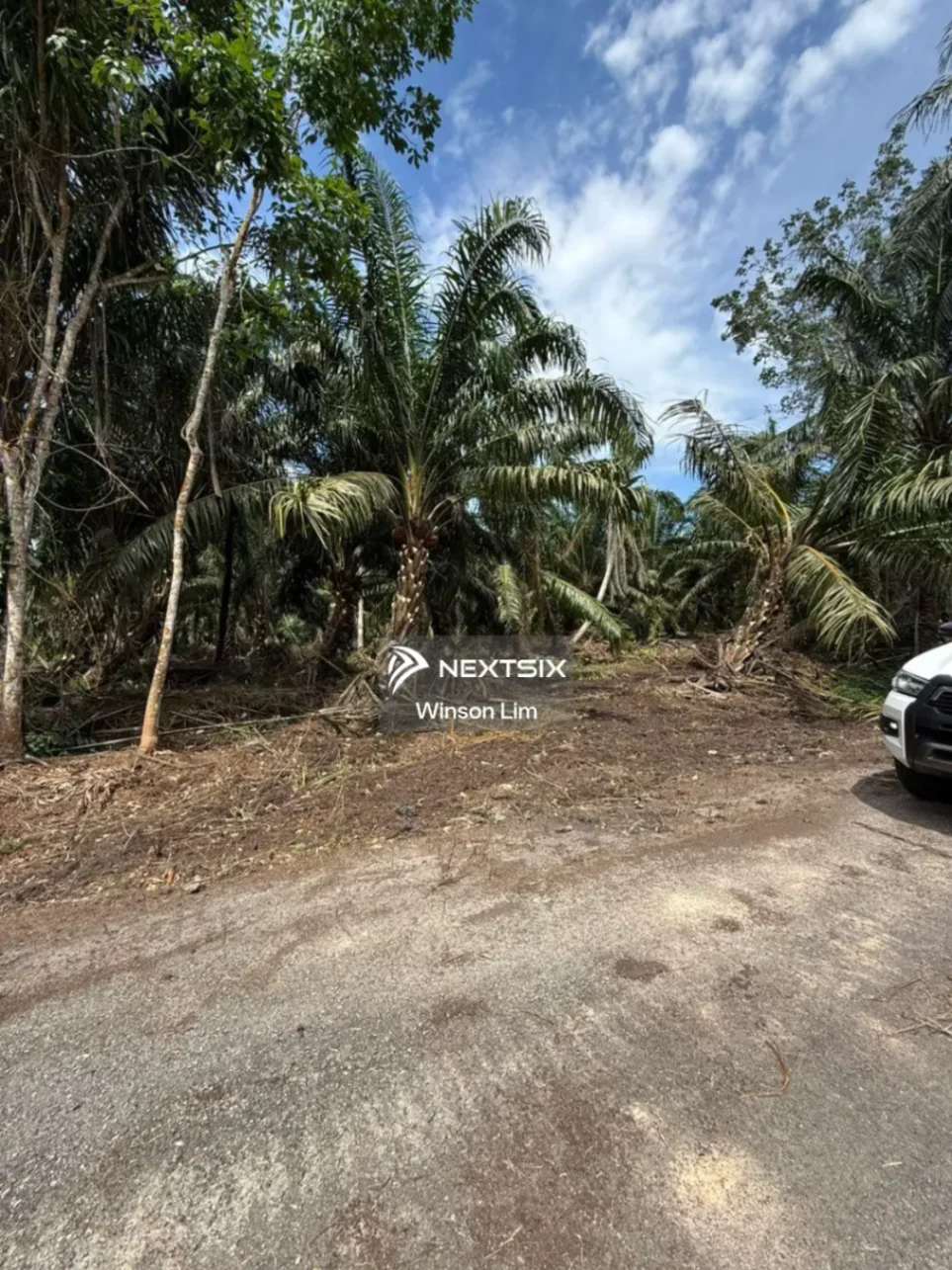 Agricultural Land For Sale in Pontian Johor - Image 2