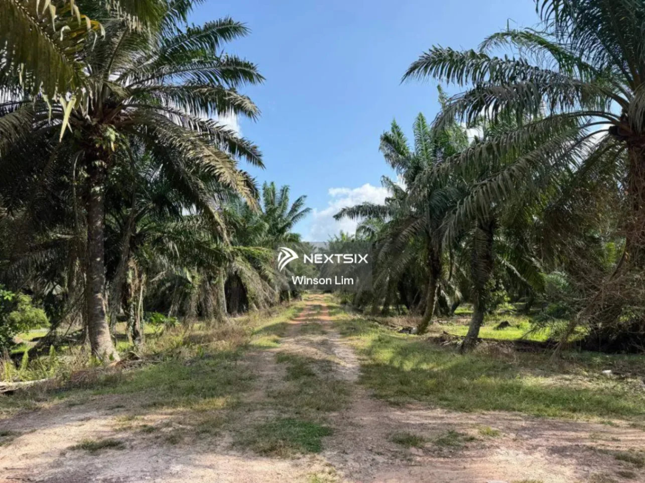 Agricultural Land For Sale in Simpang Rengam Johor