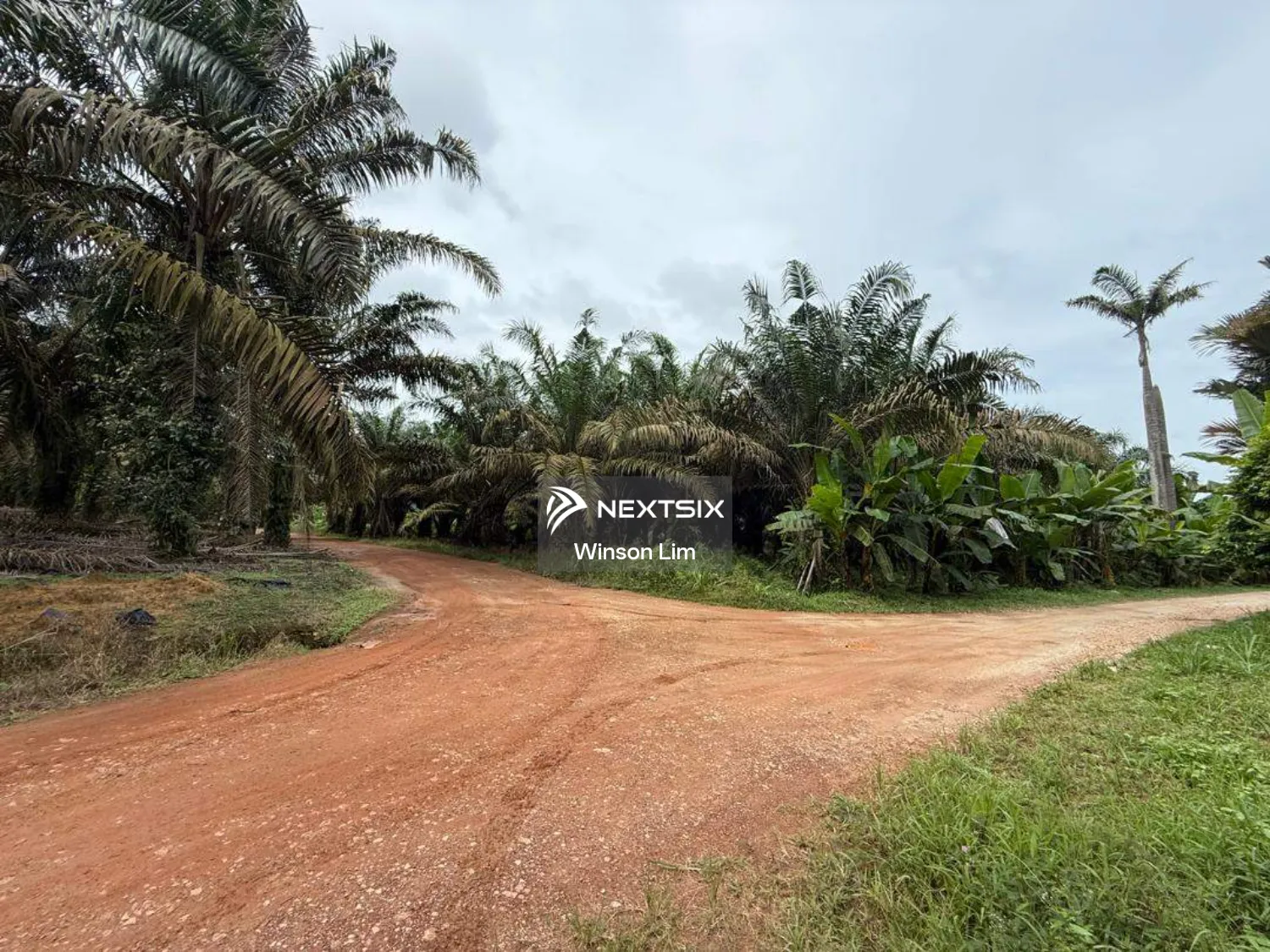 Agricultural Land For Sale in Simpang Rengam Johor - Image 2