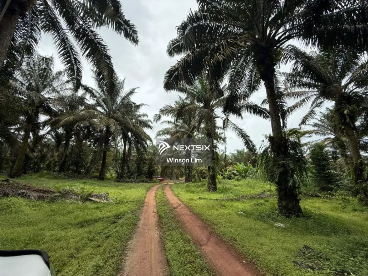 Agricultural Land For Sale in Simpang Rengam Johor - Image 3