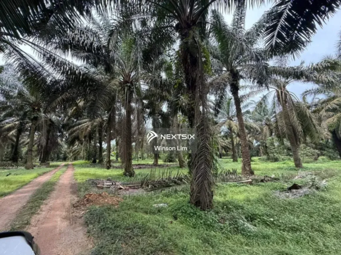 Agricultural Land For Sale in Simpang Rengam Johor - Image 5