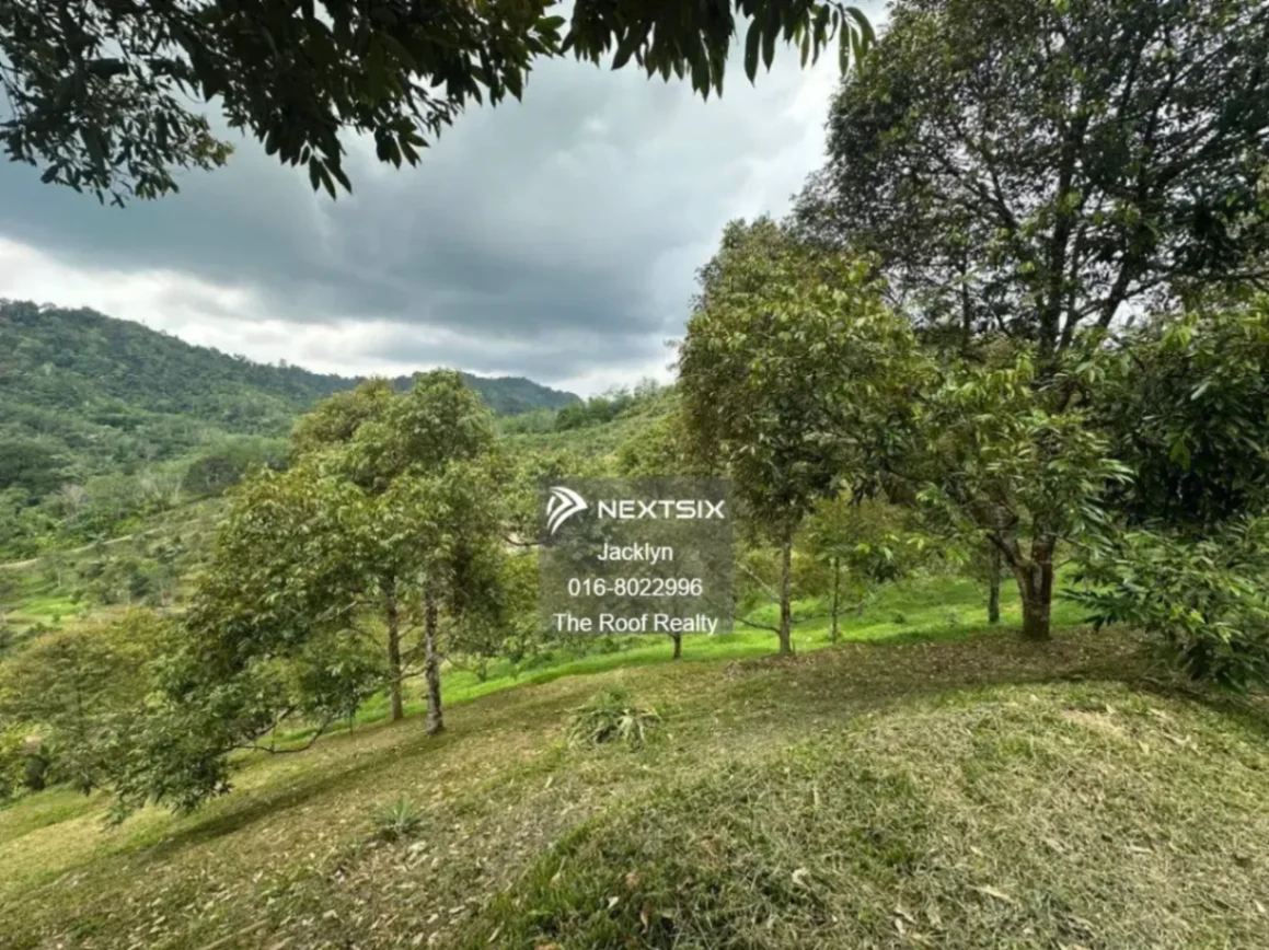 Agricultural Land For Sale in Tamparuli Sabah - Image 3