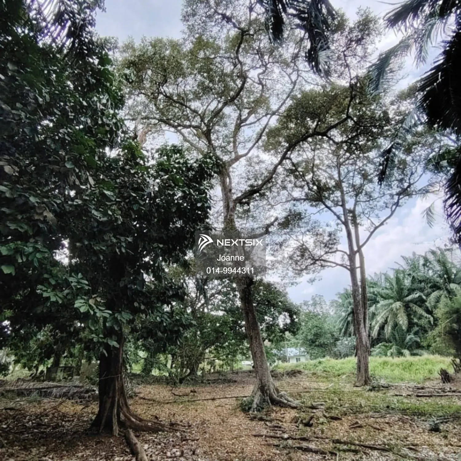 Agricultural Land For Sale in Pontian Johor