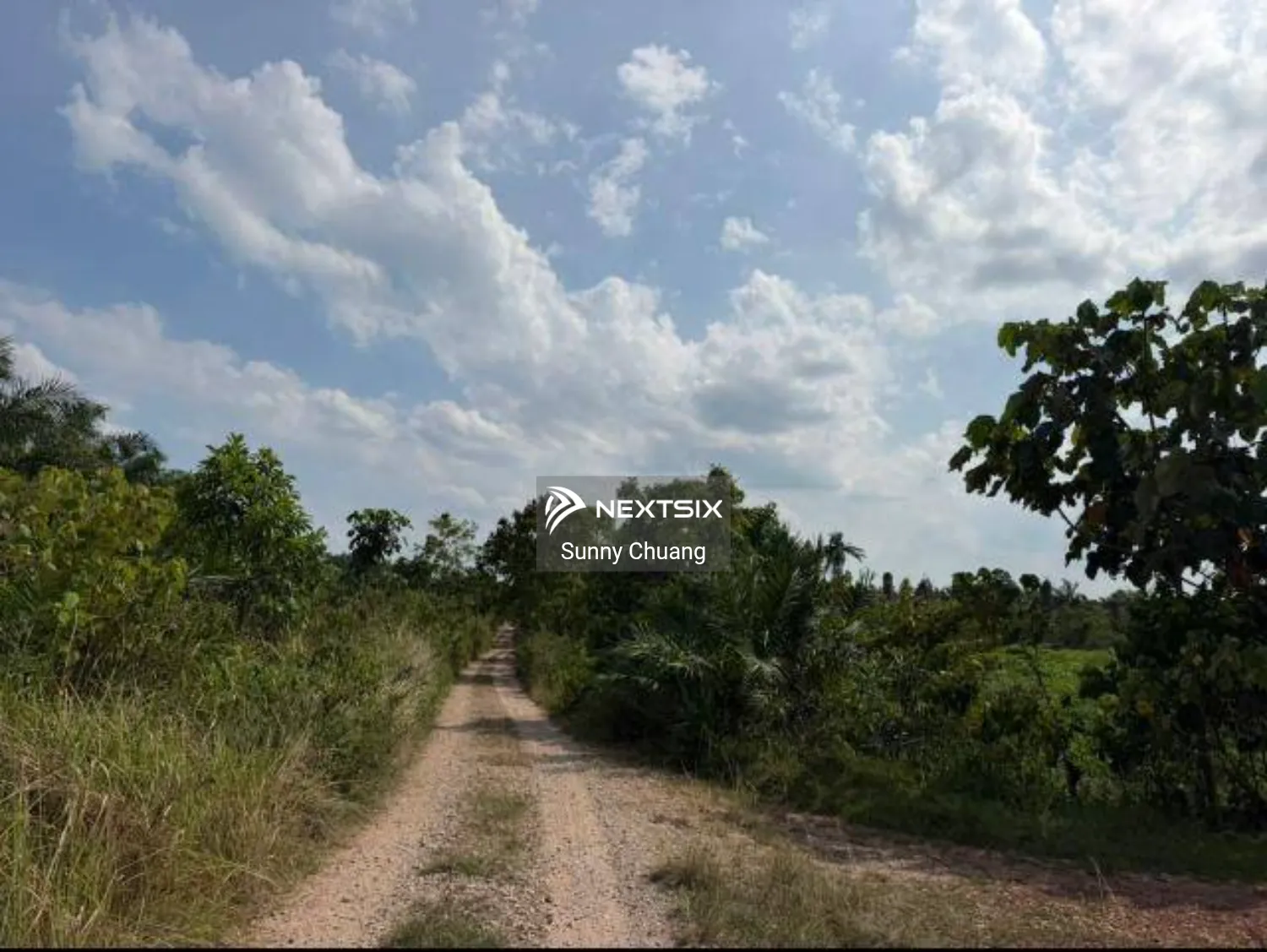 Agricultural Land For Sale in Benut Johor