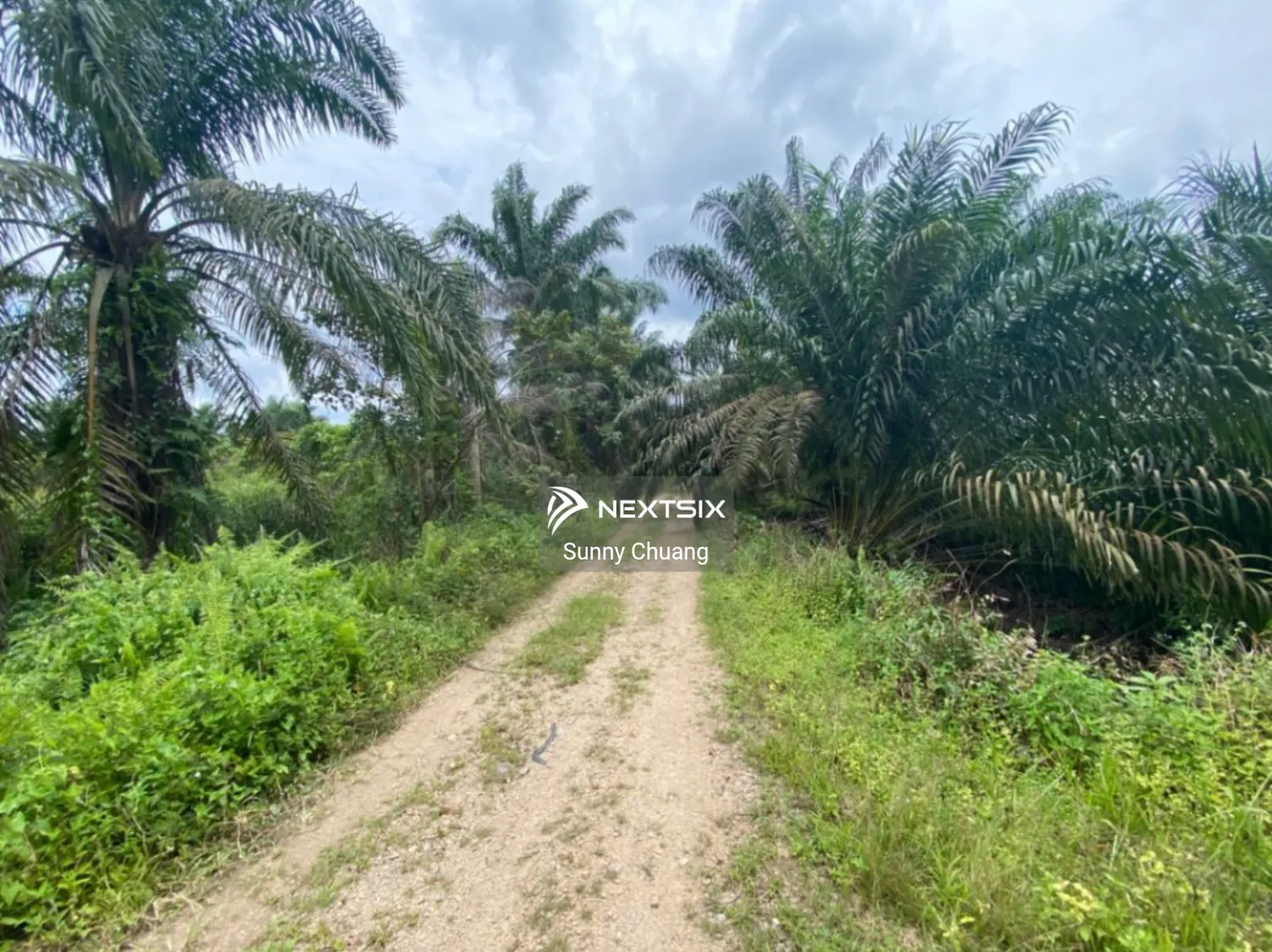 Agricultural Land For Sale in Kluang Johor - Image 2