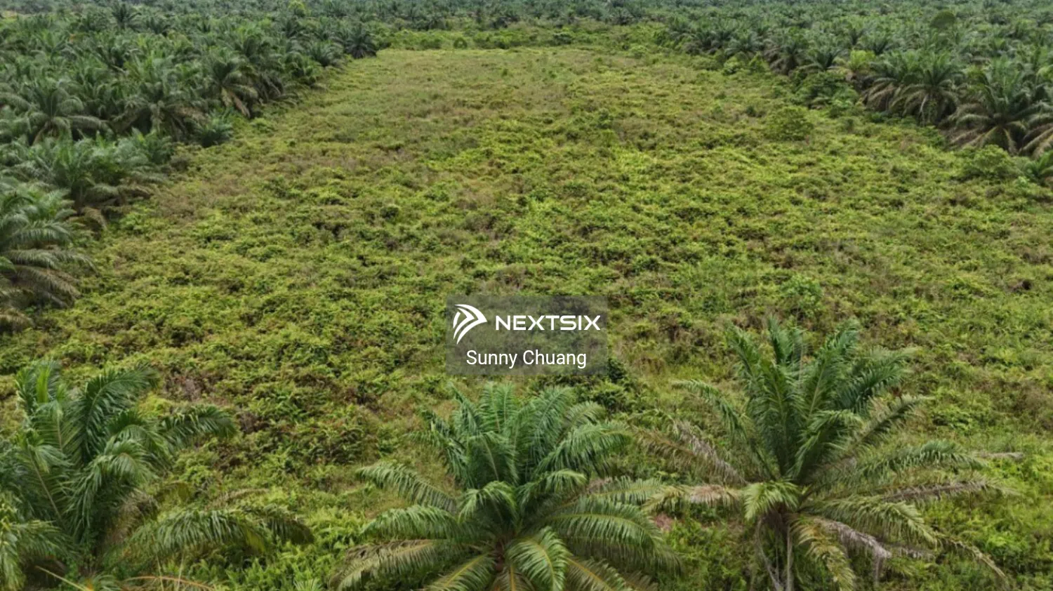 Agricultural Land For Sale in Kluang Johor - Image 3